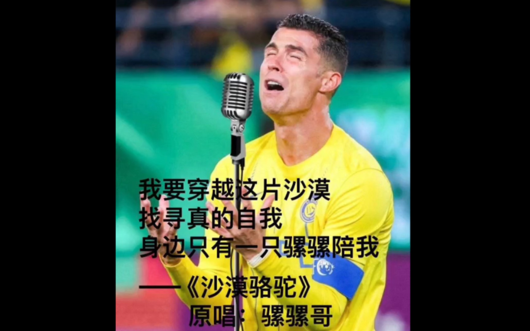 关于C罗场边指挥情绪激动，海港队员怒摔水瓶！的信息