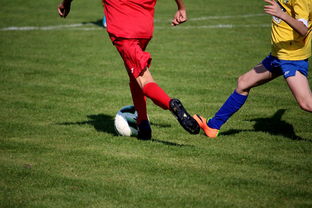 羽毛球赛场焦点！阿根廷队对阵中国队，体能极限考验，赛场硬仗一触即发